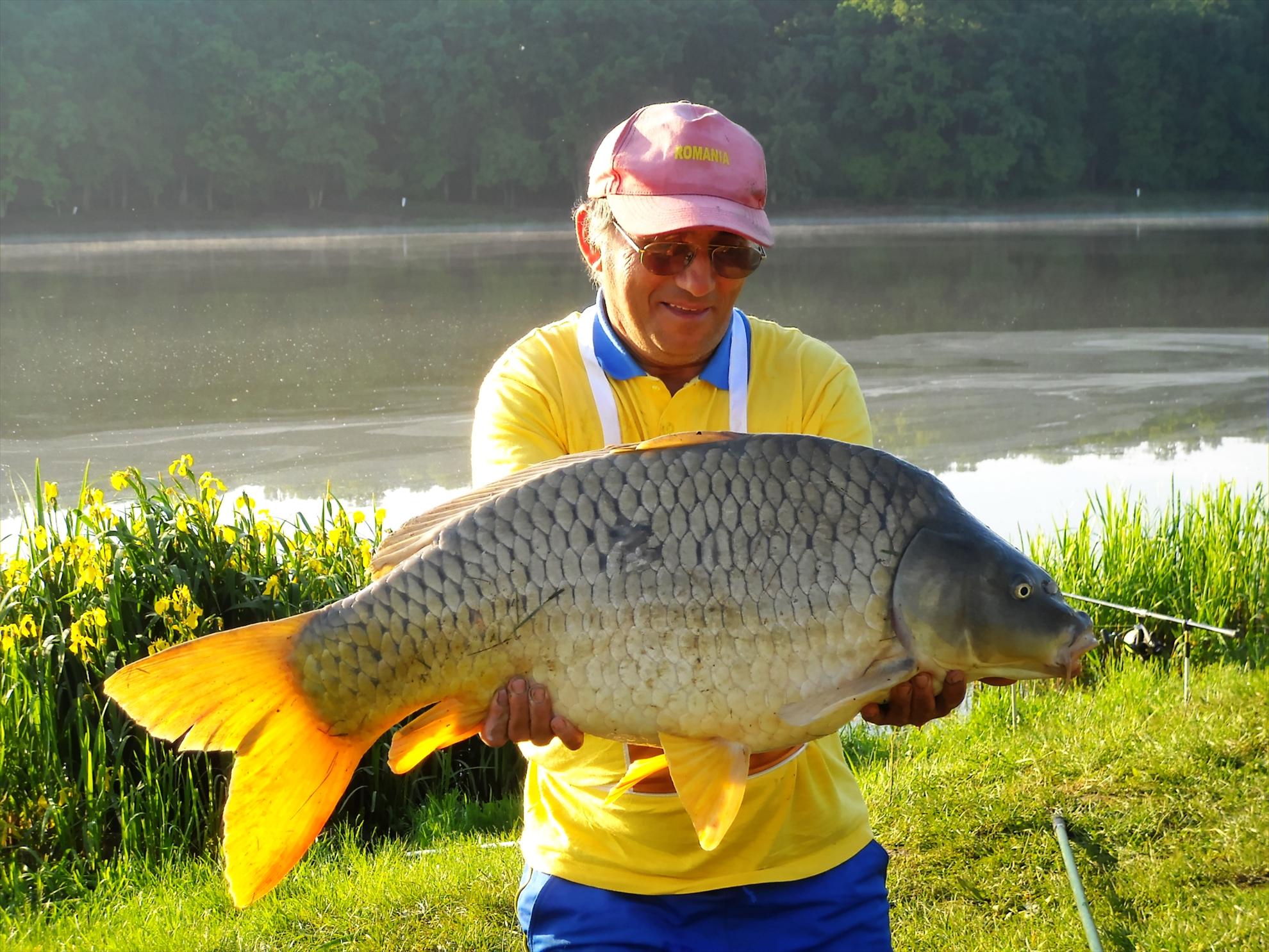 Best-2010 - dscn3508compressor.jpg